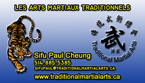 Traditional Martial Arts Association